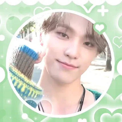 세븐틴 팬이 찍은 순간