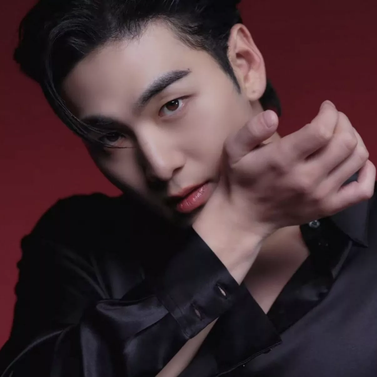 白虎的最新照片