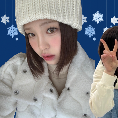 最愛ドルコミュニティの爆発的人気投稿