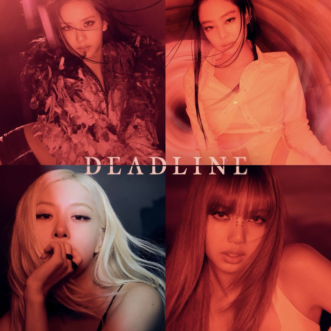 BLACKPINK的最新照片