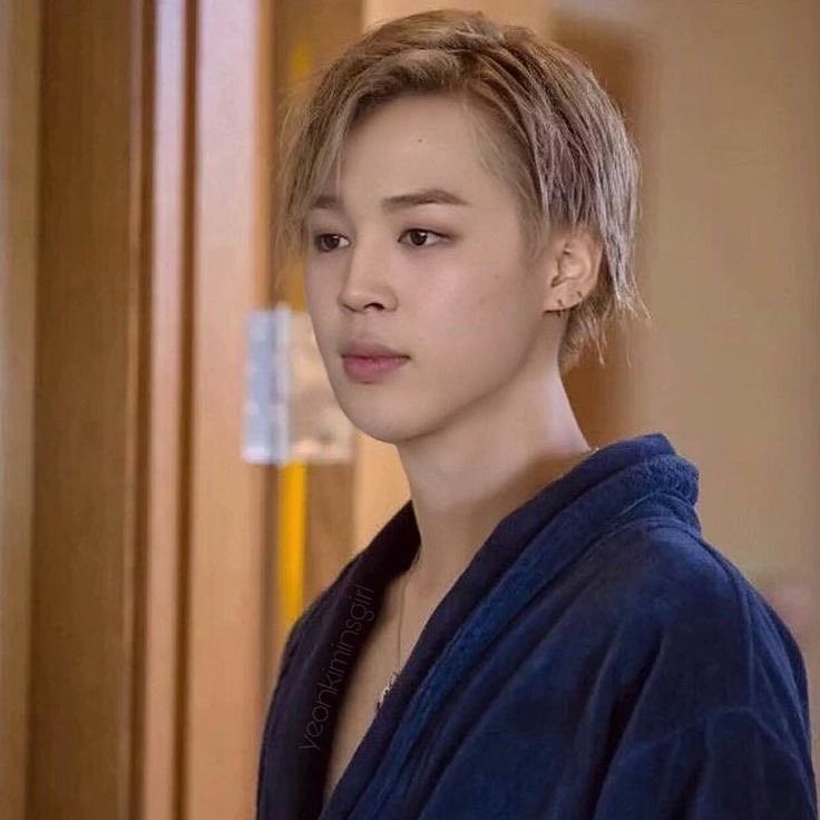 지민 (방탄소년단) 팬이 찍은 순간