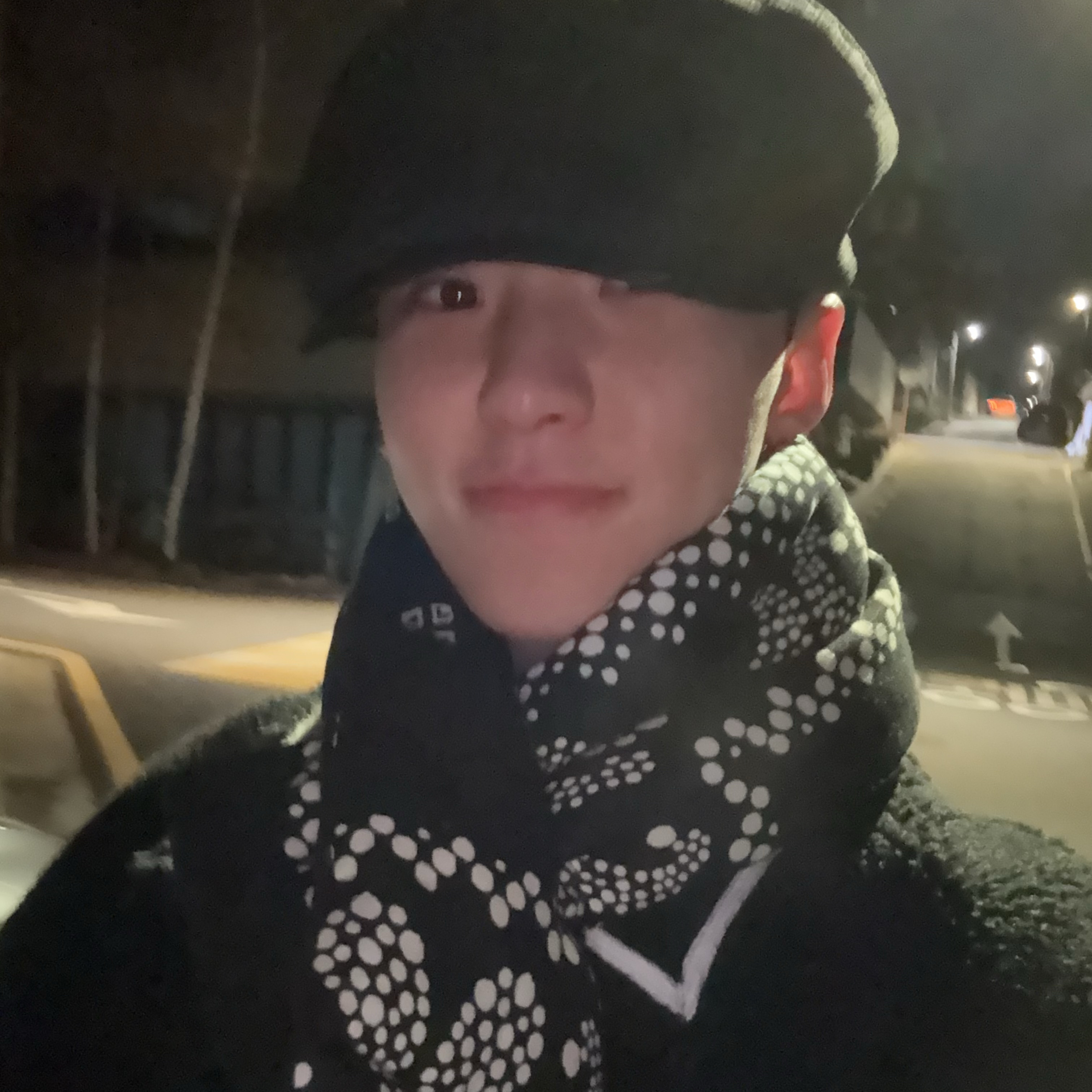 SEVENTEENファンが撮った瞬間