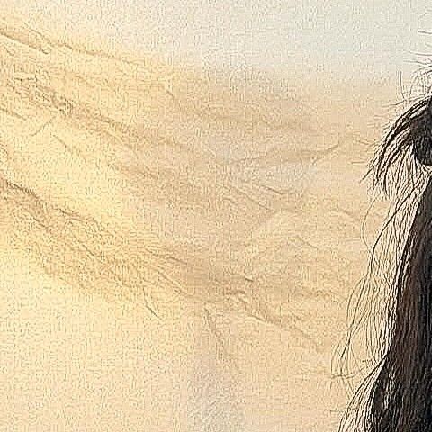 Potret di balik layar Solar (MAMAMOO)