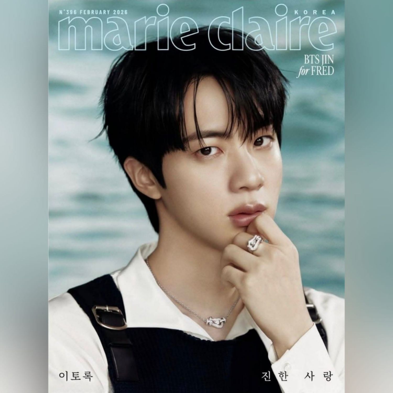 A moment captured by Jin (BTS)'s fan