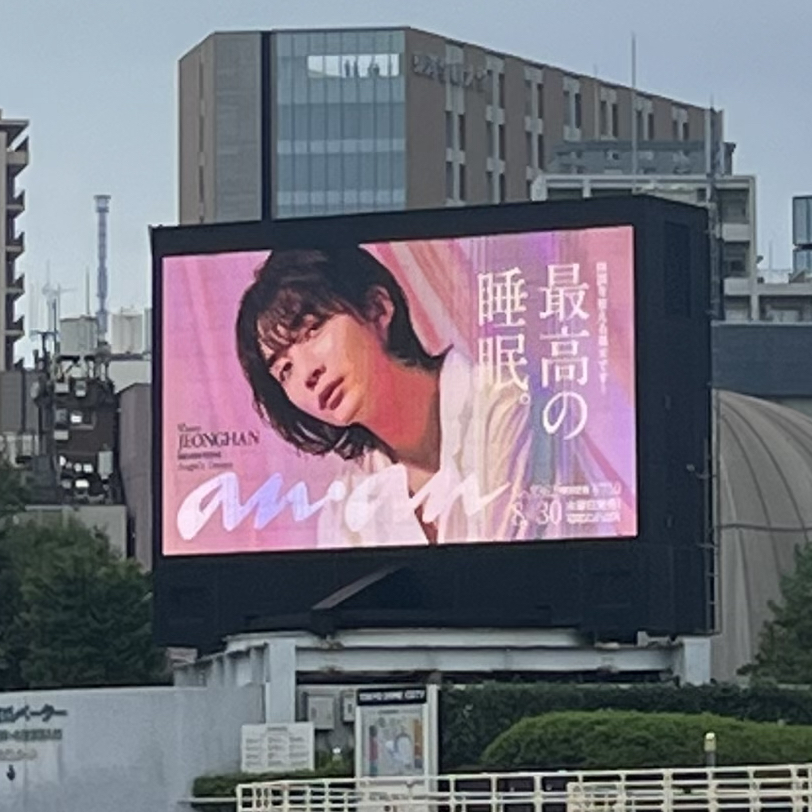 세븐틴 팬이 찍은 순간