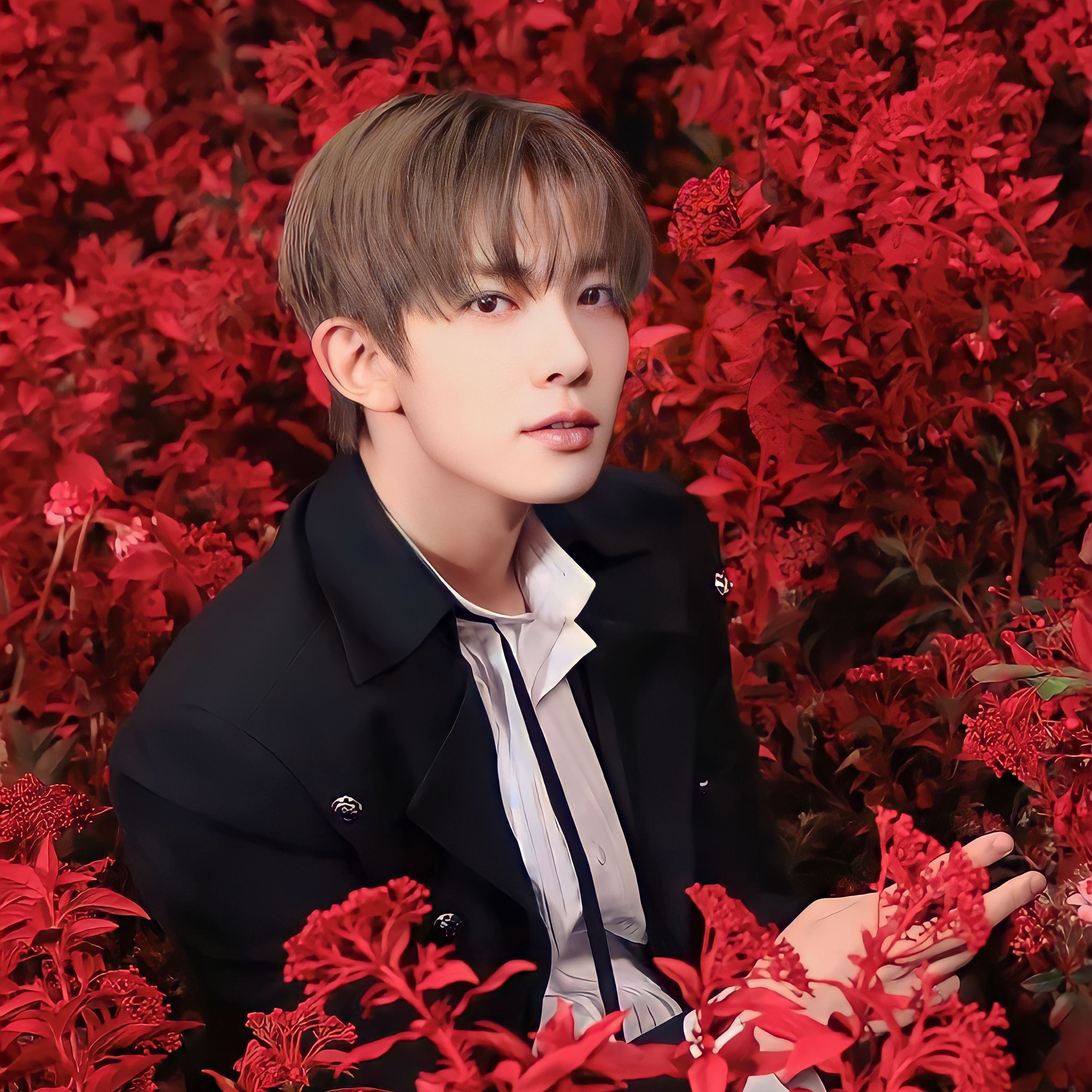 희승의 최신 사진