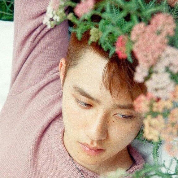 디오 (EXO)의 최신 사진