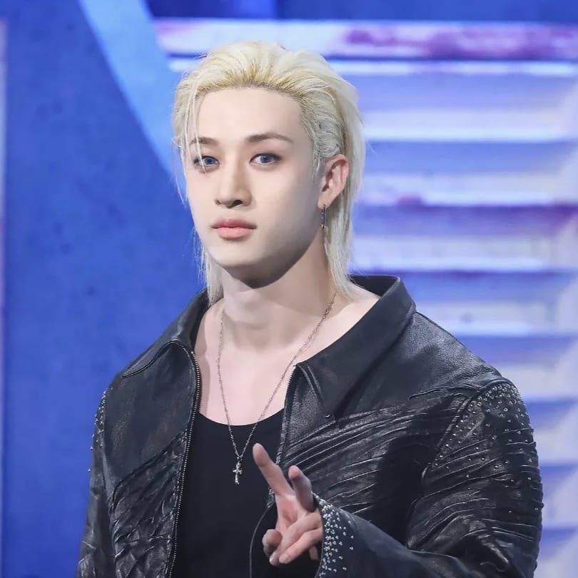 Stray Kids 팬이 찍은 순간