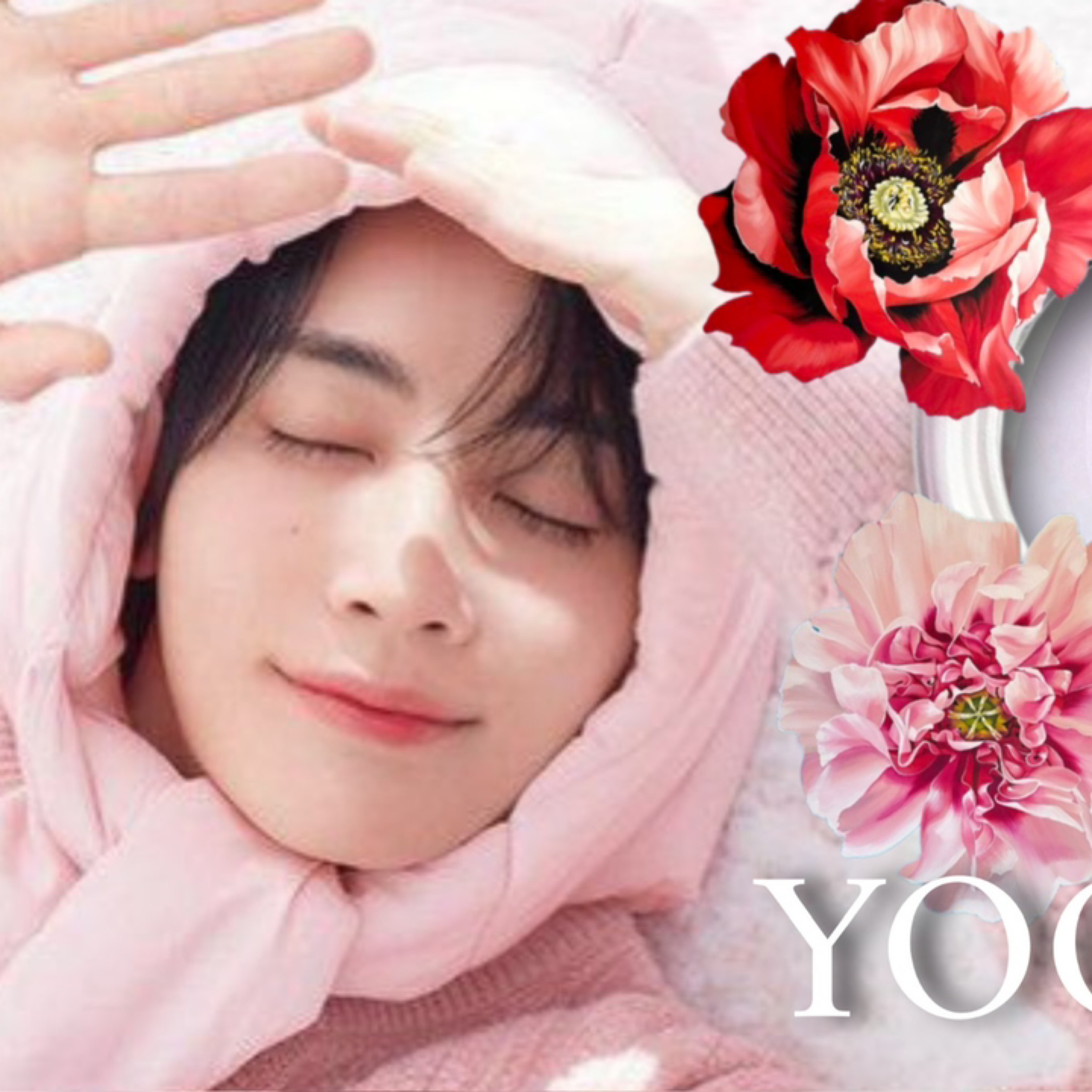 A moment captured by Jeonghan (SEVENTEEN)'s fan