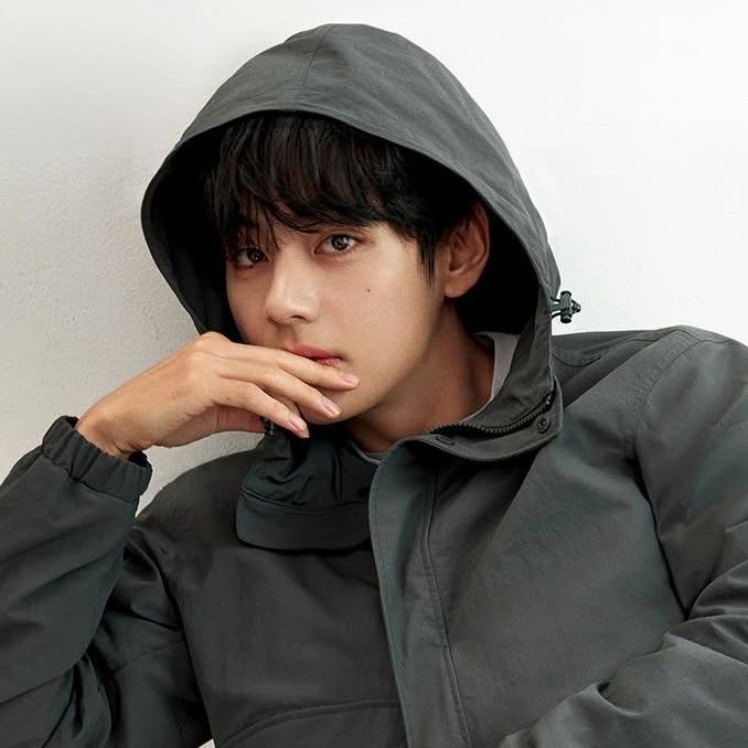 뷔 (방탄소년단) 팬이 찍은 순간