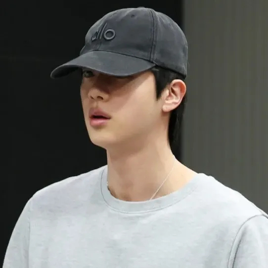 A moment captured by Jin (BTS)'s fan