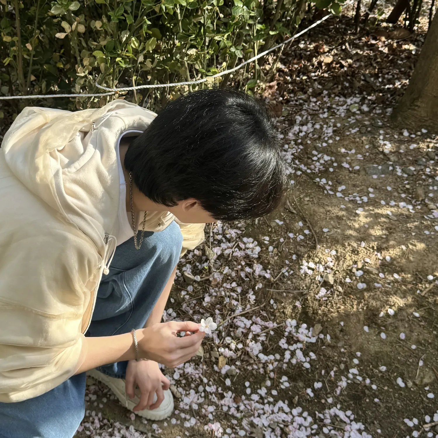 SEVENTEEN粉絲拍下的瞬間