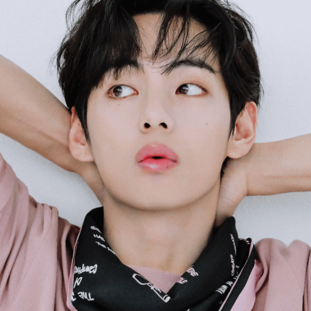 Potret di balik layar V (BTS)