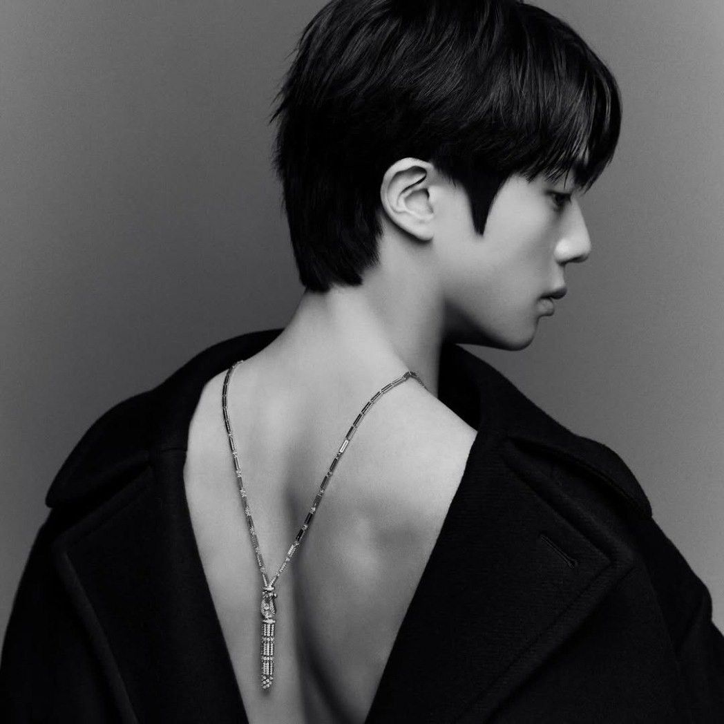 진 (방탄소년단) 팬이 찍은 순간