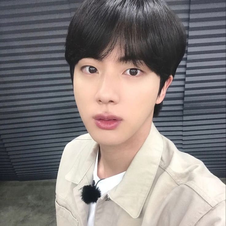 진 (방탄소년단) 팬이 찍은 순간