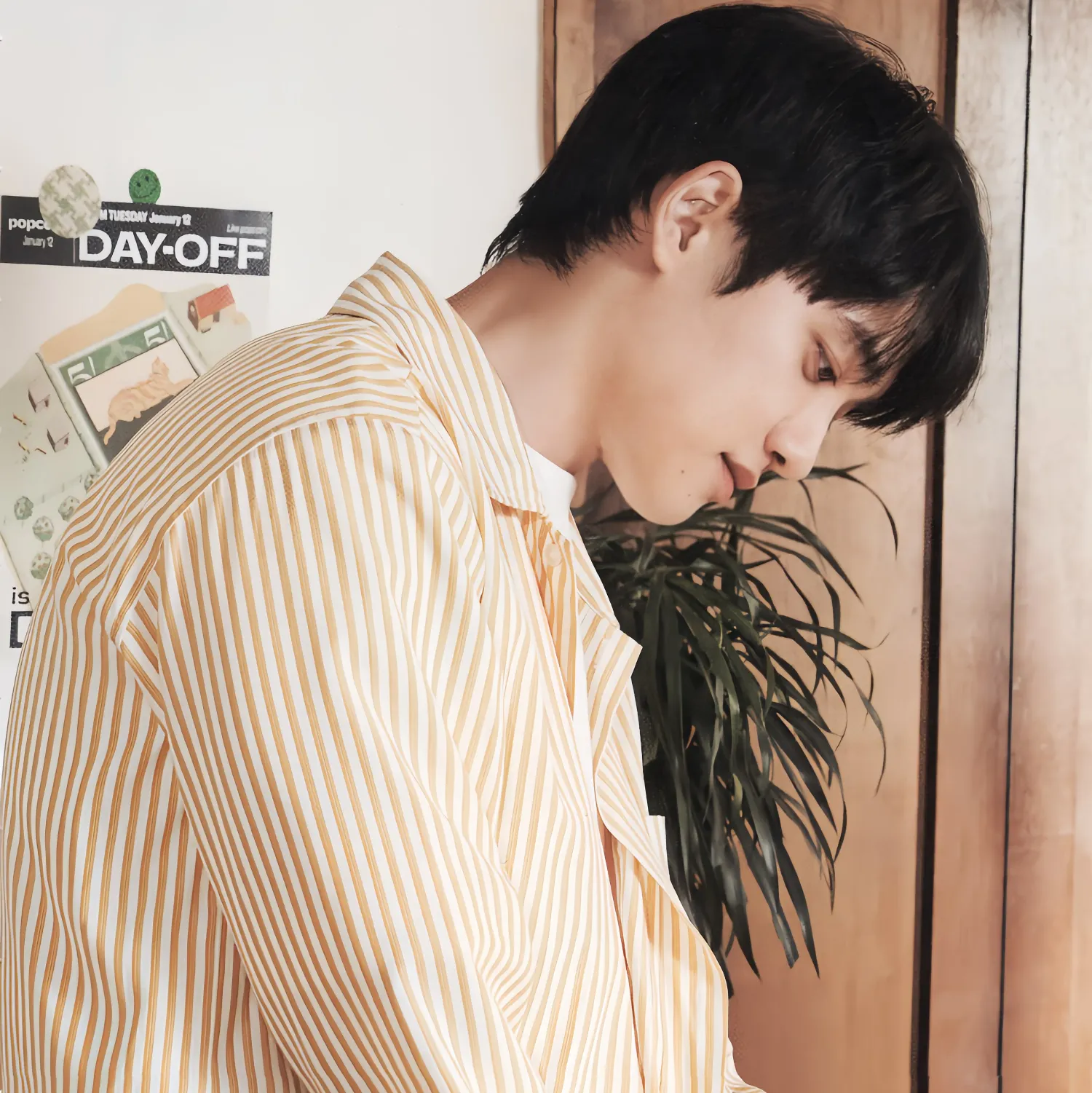 디오 (EXO) 팬이 찍은 순간