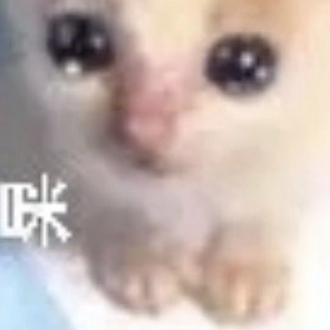 리키 (제로베이스원) 팬이 찍은 순간