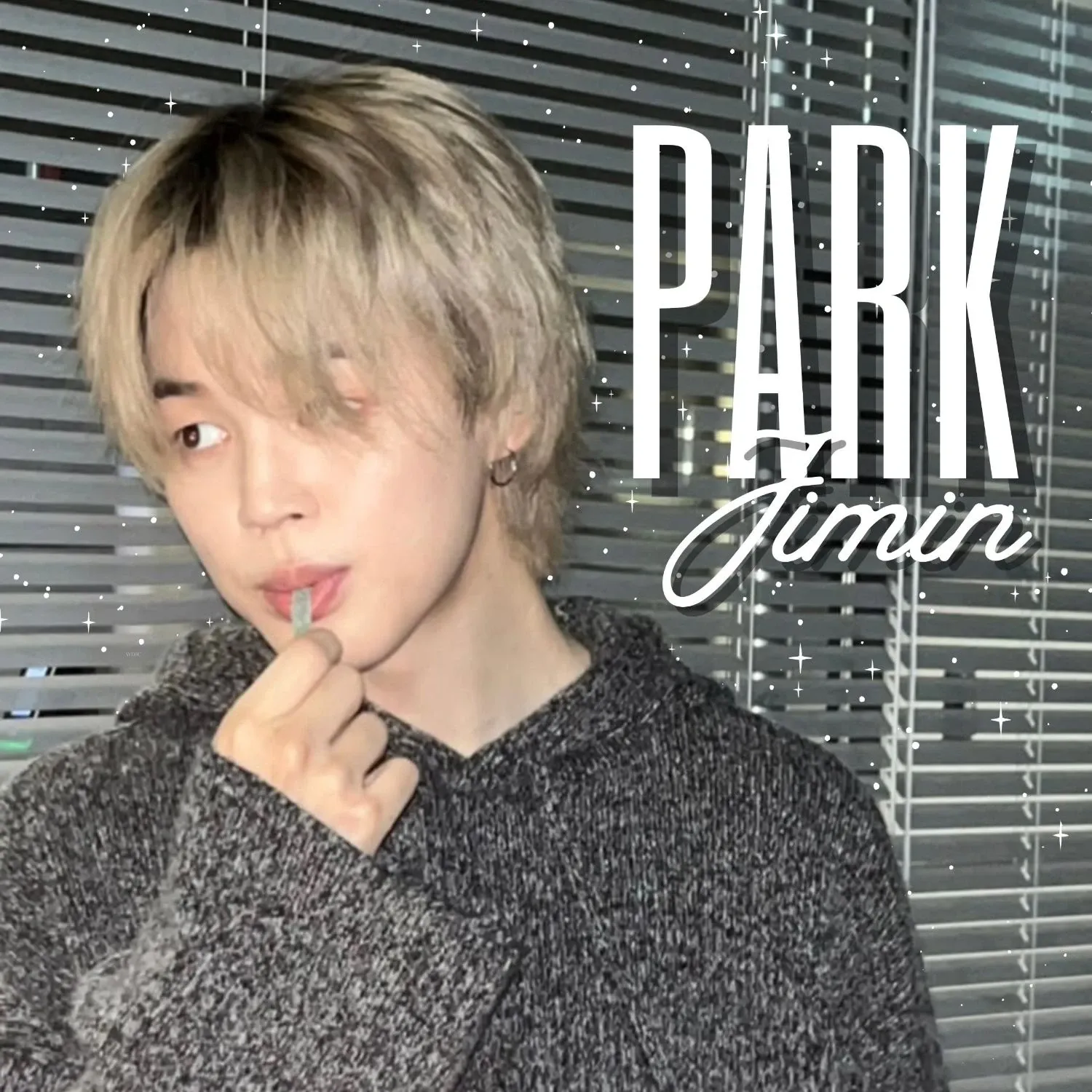 지민 (방탄소년단) 팬이 찍은 순간