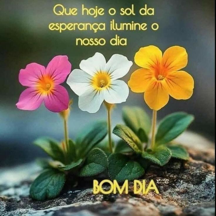 몬스타엑스 팬이 찍은 순간