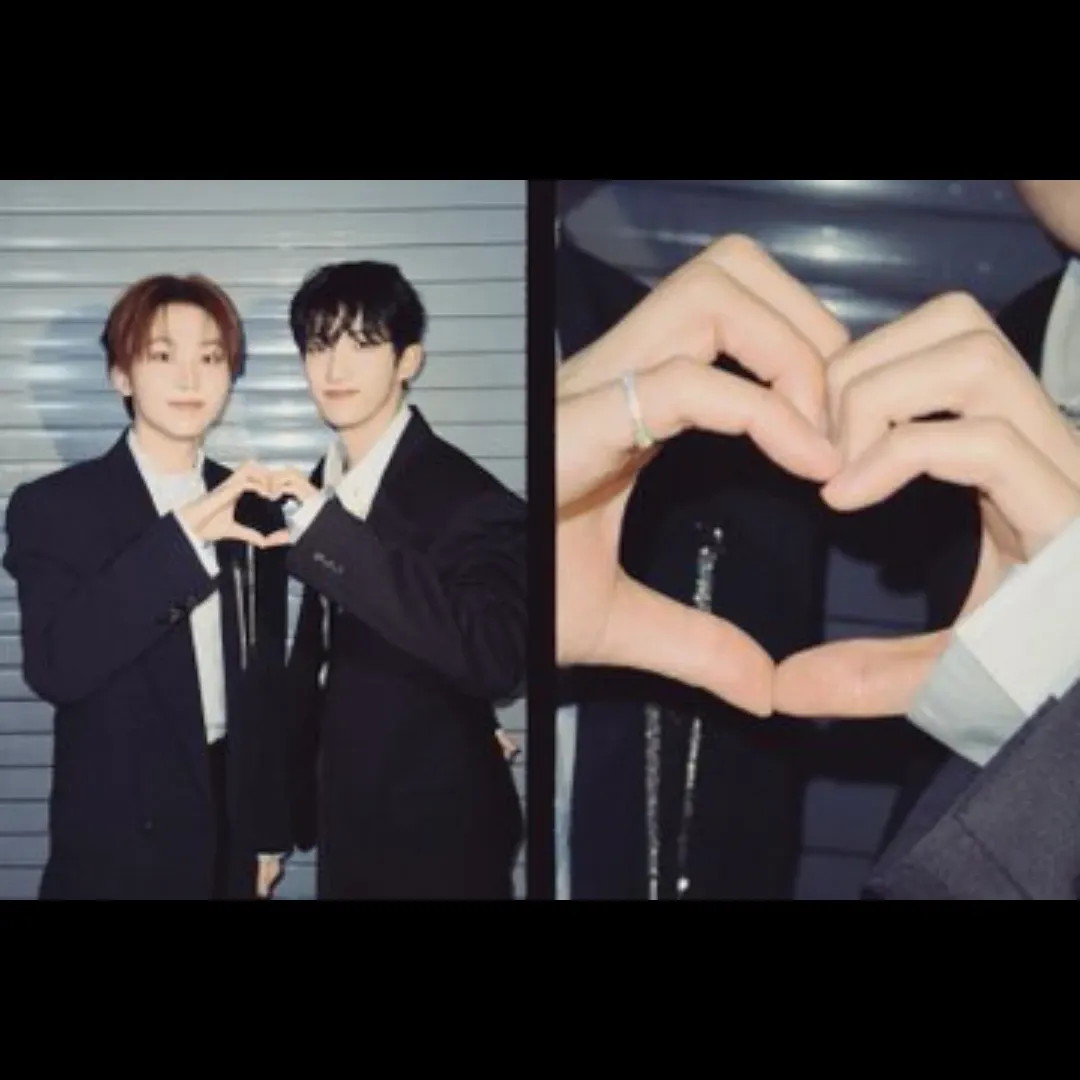 세븐틴 팬이 찍은 순간