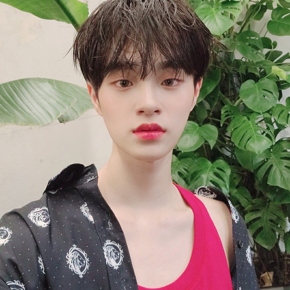 이대휘 (AB6IX)의 최신 사진