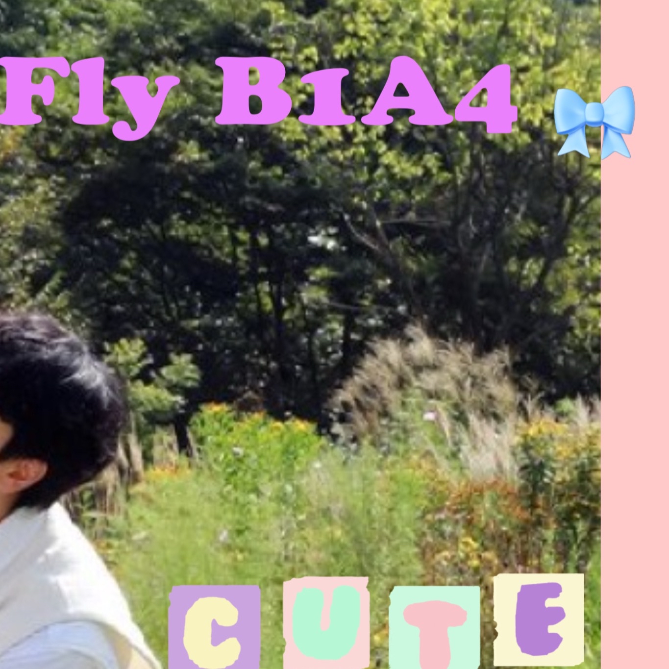 Recent activity shot of B1A4