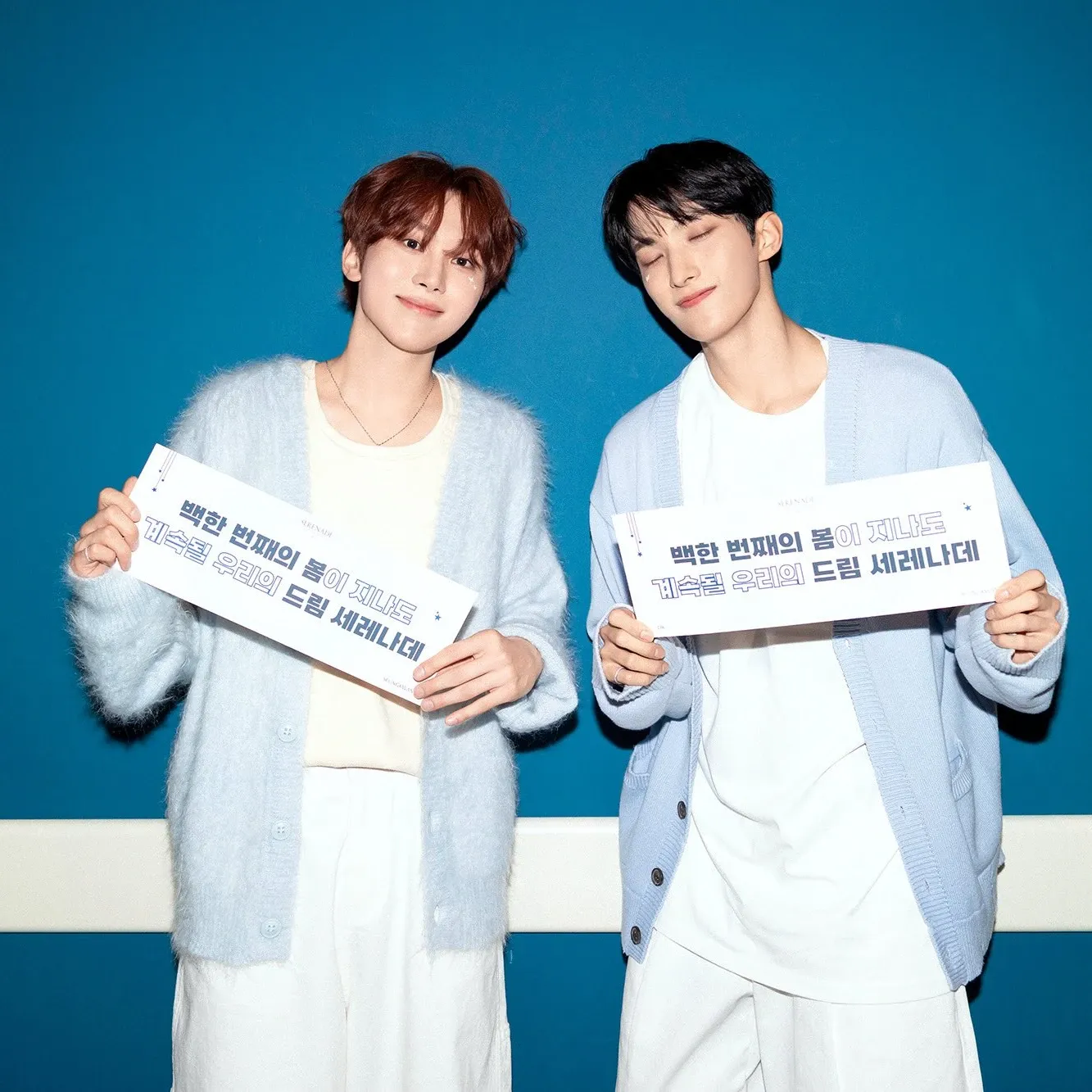 세븐틴의 비하인드 컷