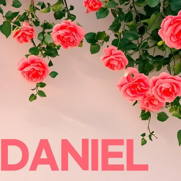 Momen yang diabadikan oleh penggemar Kang Daniel