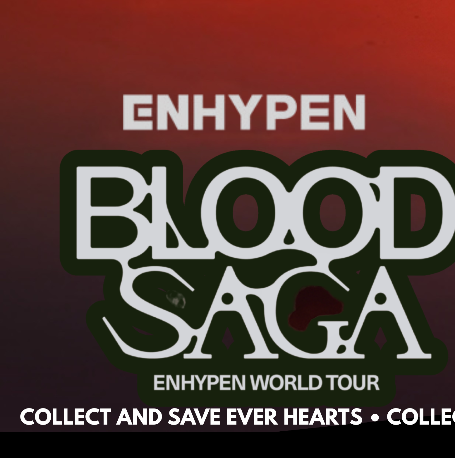 ENHYPEN 팬이 찍은 순간