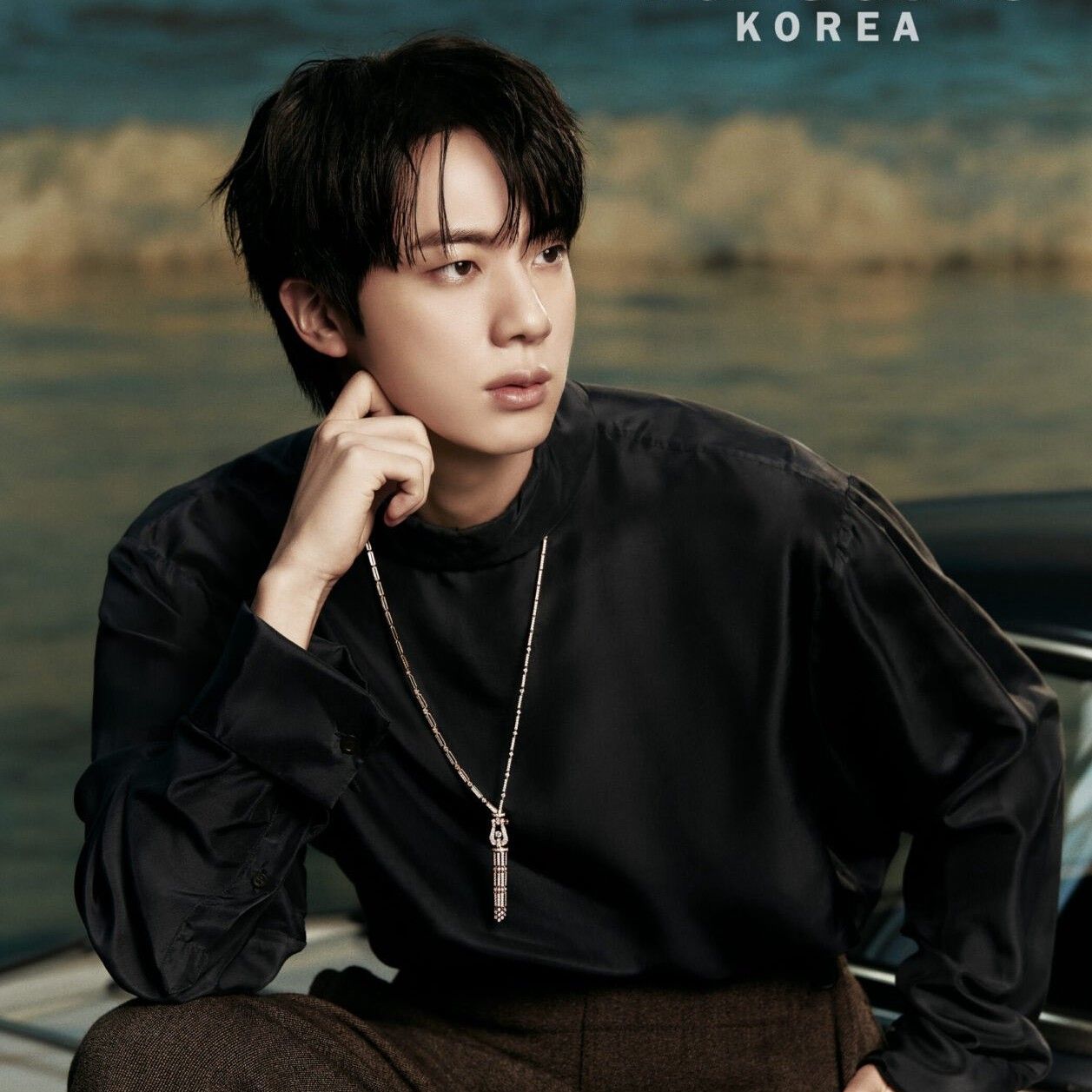 진 (방탄소년단) 팬이 찍은 순간