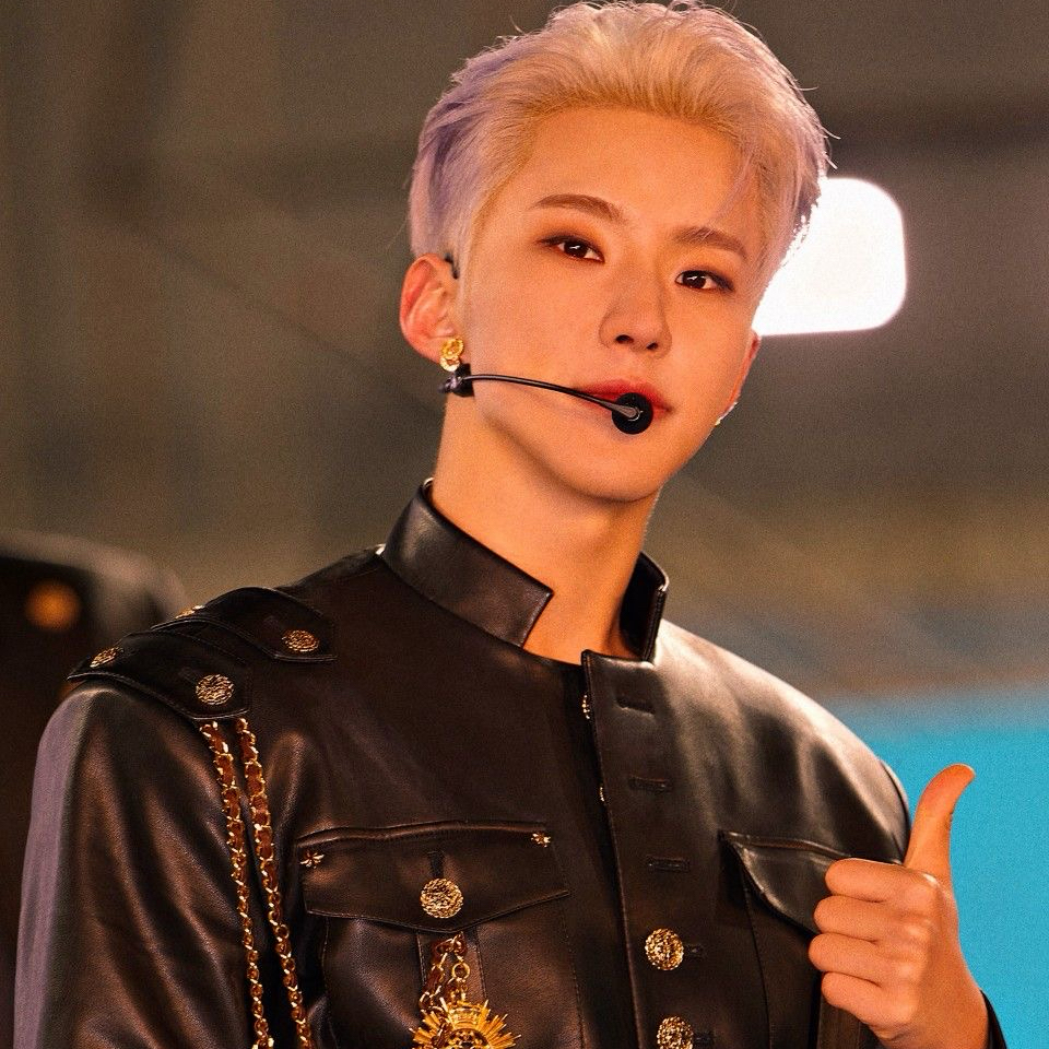 A moment captured by Hoshi (SEVENTEEN)'s fan