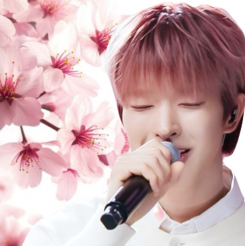 A moment captured by Tomoya (NEXZ)'s fan