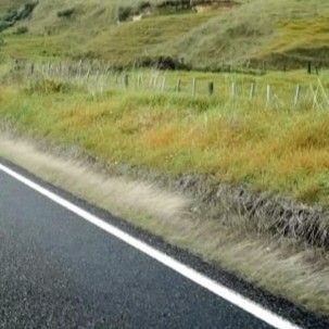 颂乐 (MAMAMOO)粉丝拍下的瞬间