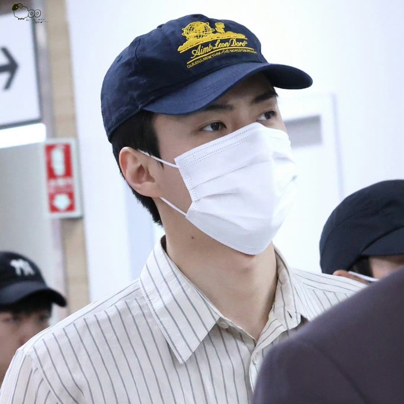 세훈 (EXO)의 최신 사진