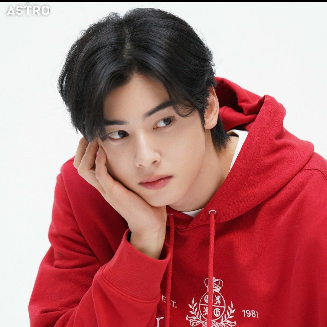 아스트로 팬이 찍은 순간