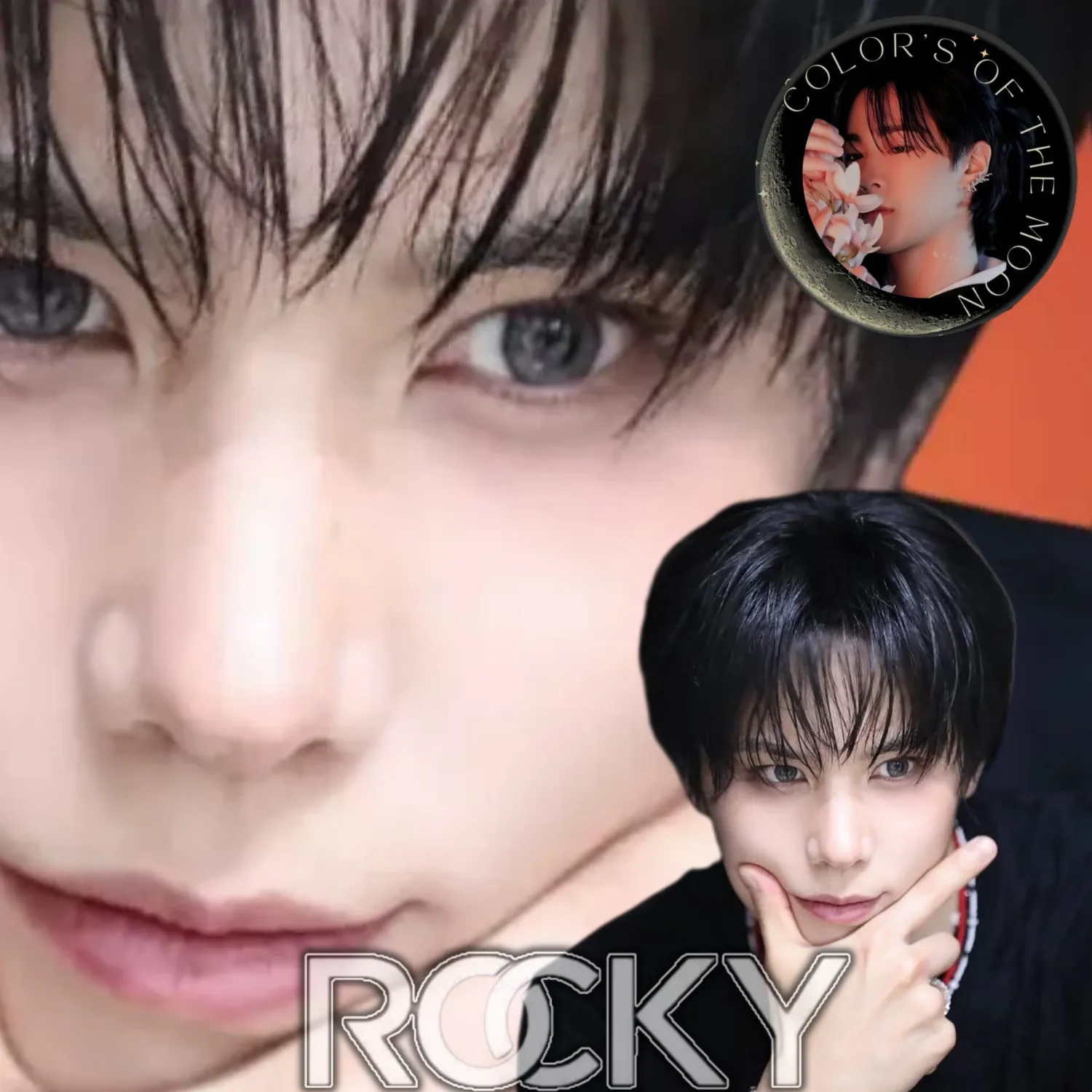 Recent activity shot of Rocky