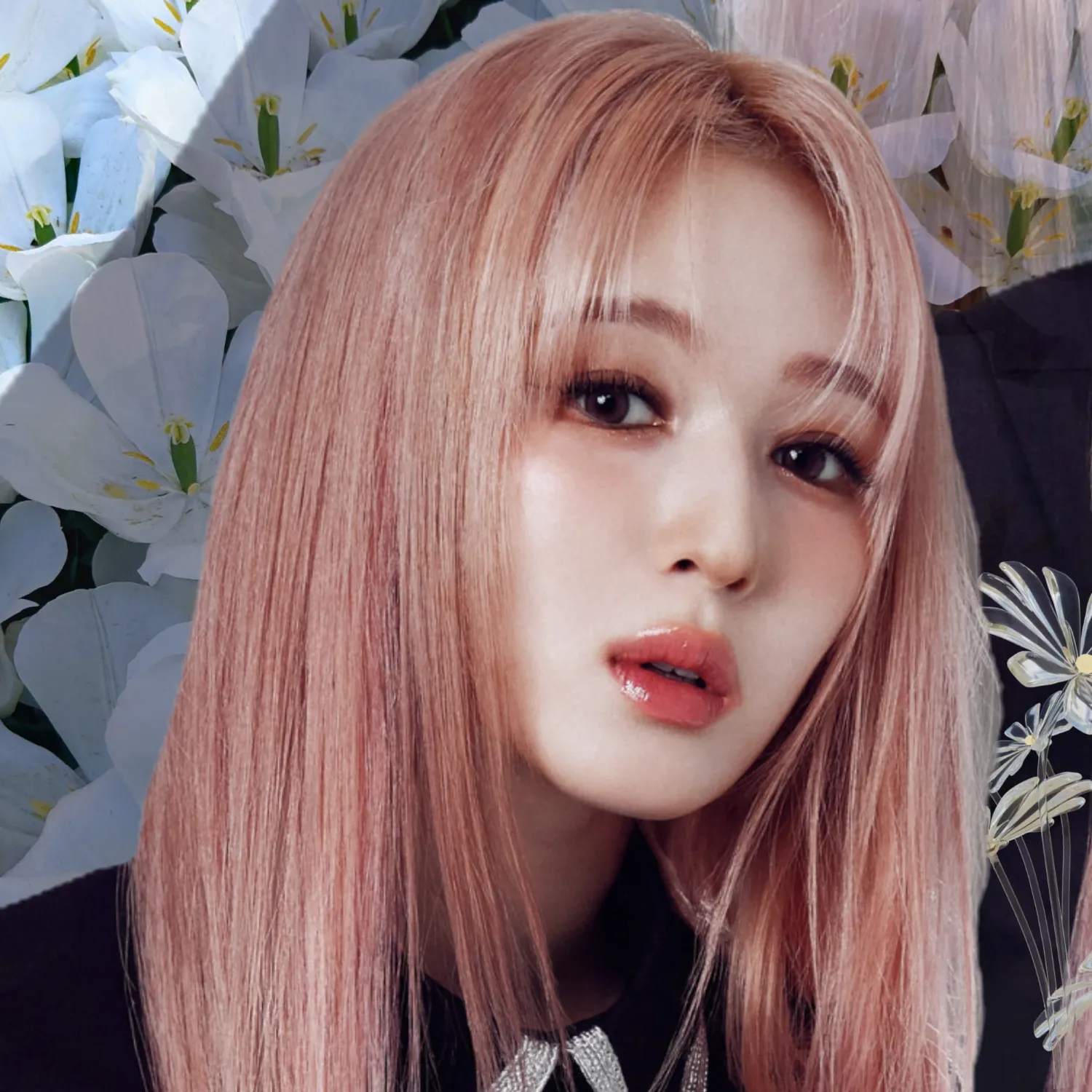 ME:I 山本すず ファンダムコミュニティ │ KPOP人気No.1アプリ 最愛ドル