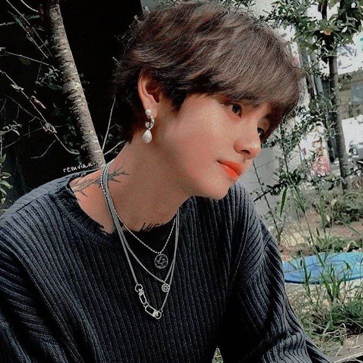 Potret di balik layar V (BTS)