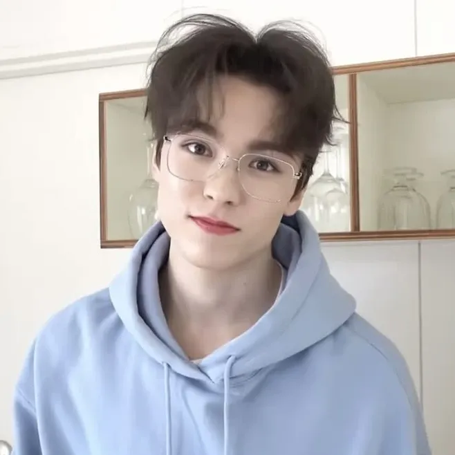 A moment captured by Vernon (SEVENTEEN)'s fan