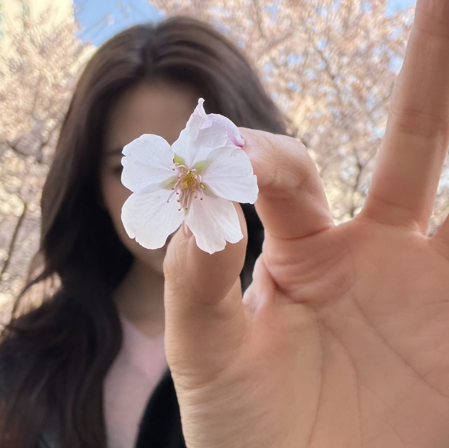 안유진 (IVE) 팬이 찍은 순간