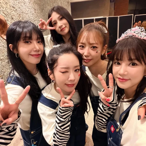 由粉丝团选择的郑恩地 (Apink)最佳时刻