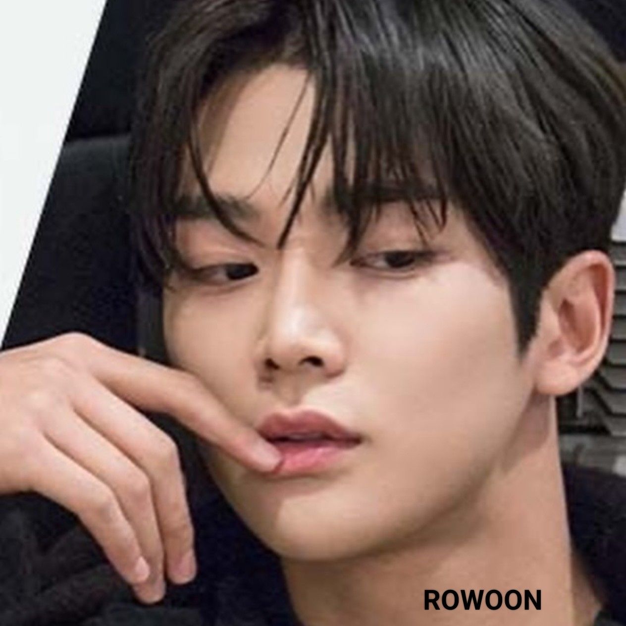 로운 최근 활동샷