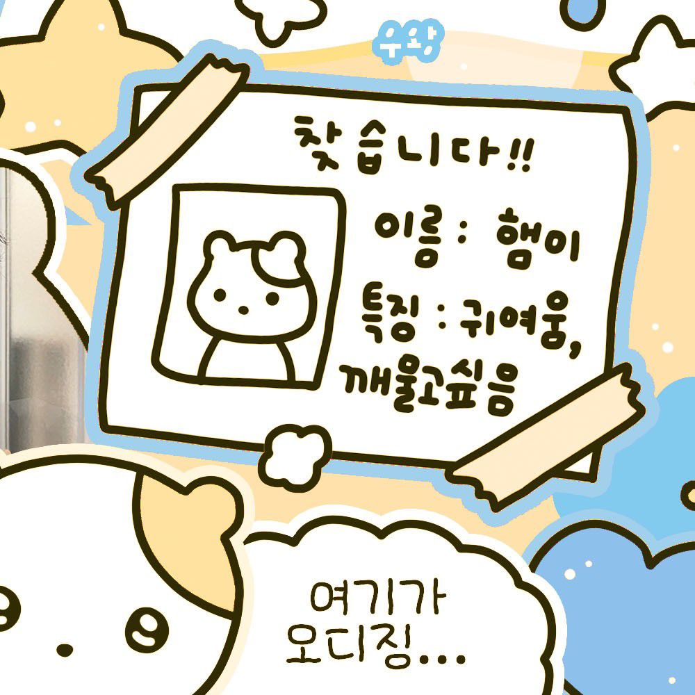 Recent activity shot of NCT WISH