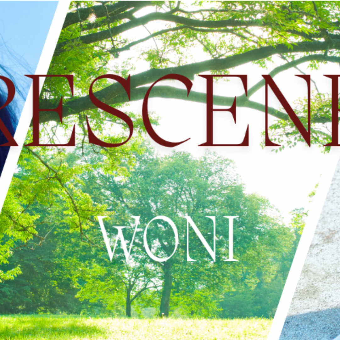 A moment captured by Woni (RESCENE)'s fan