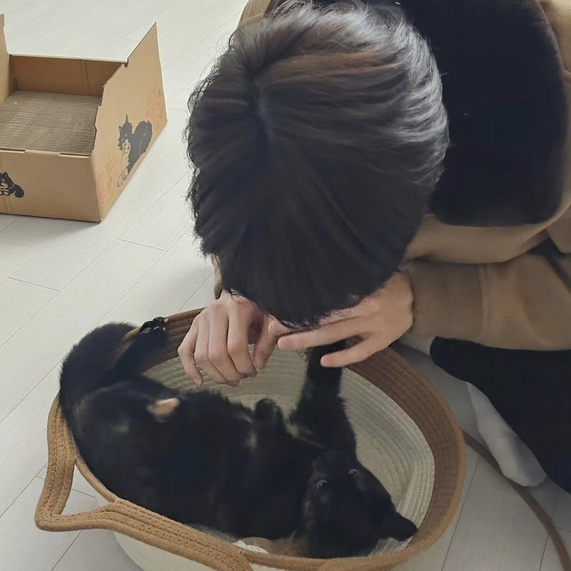 A moment captured by Soobin (TOMORROW X TOGETHER)'s fan