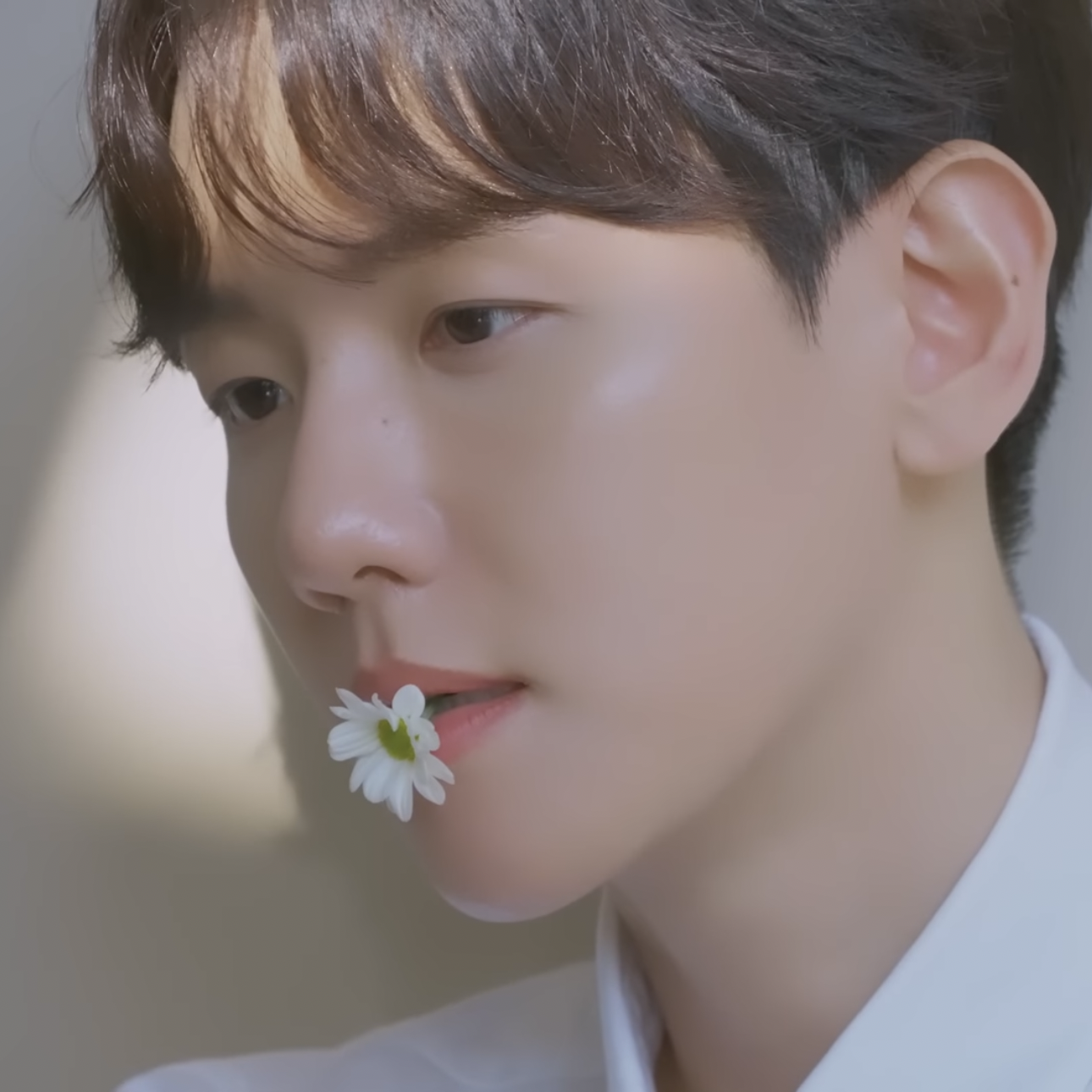 伯賢 (EXO)的幕後花絮