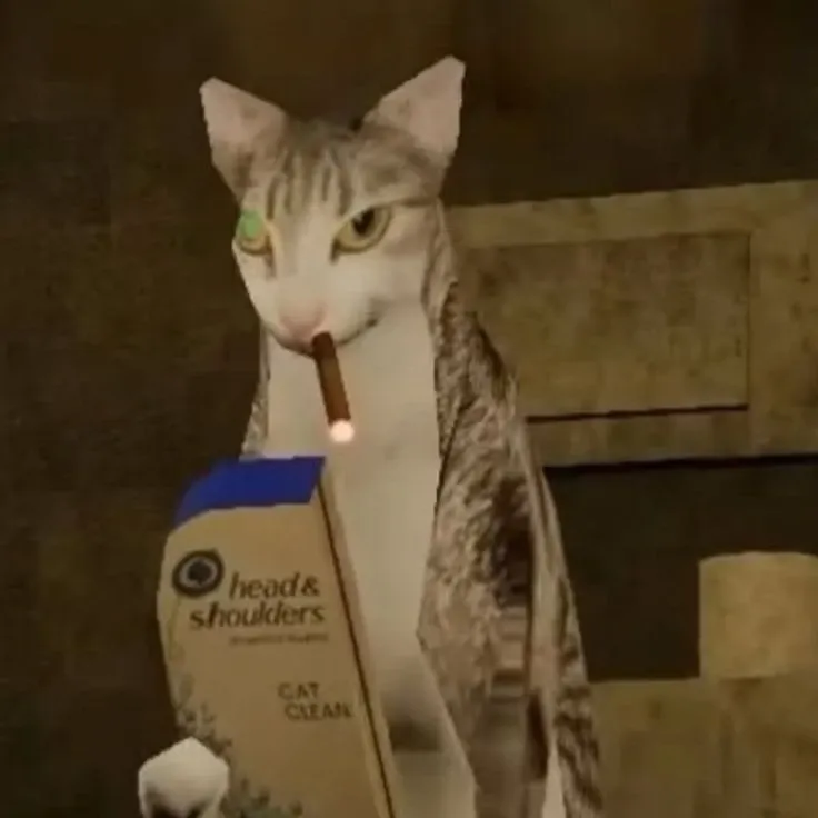 투모로우바이투게더 팬이 찍은 순간