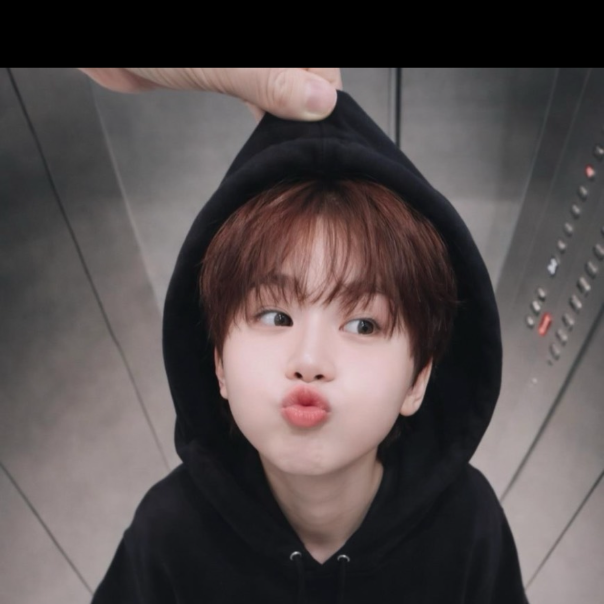 세븐틴 팬이 찍은 순간