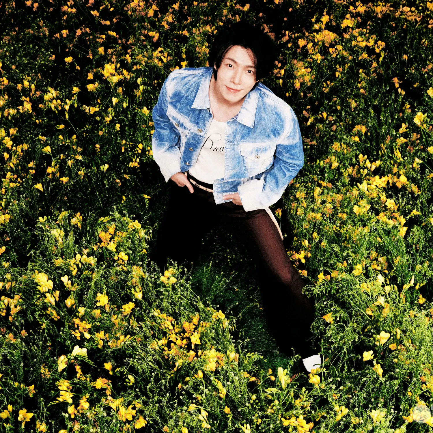 Foto aktivitas terbaru Donghae (Super Junior)