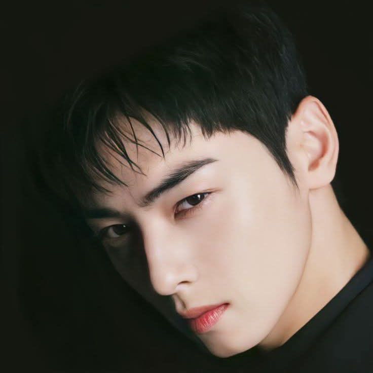 A moment captured by Eunwoo (ASTRO)'s fan